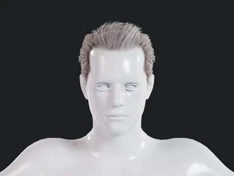 Realistic Male Hair Low-poly 3D Model