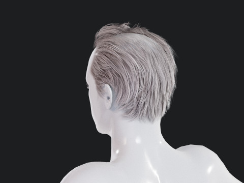 Realistic Male Hair Low-poly 3D Model