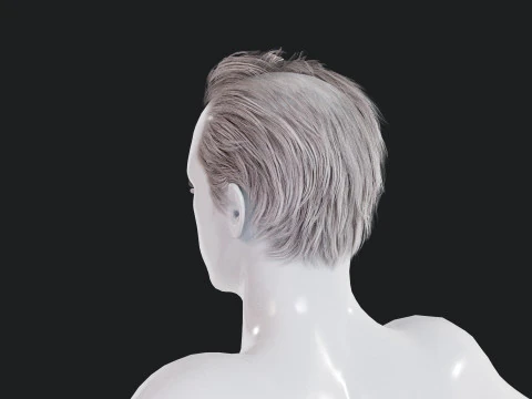 Realistic Male Hair Low-poly 3D Model