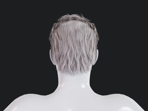 Realistic Male Hair Low-poly 3D Model