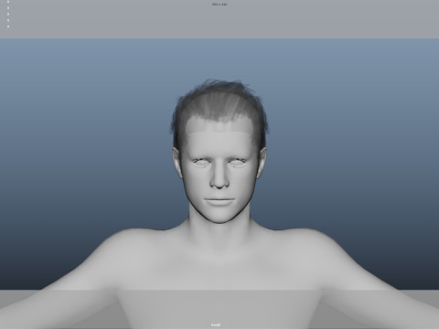 Realistic Male Hair Low-poly 3D Model