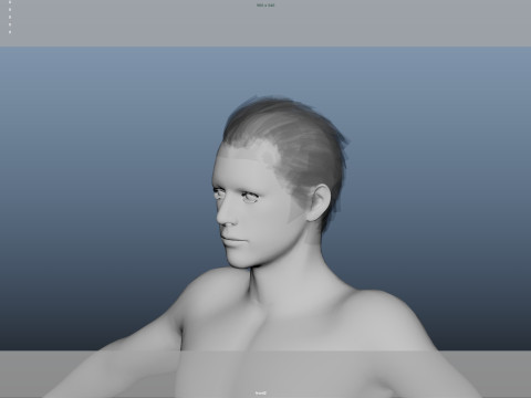 Realistic Male Hair Low-poly 3D Model