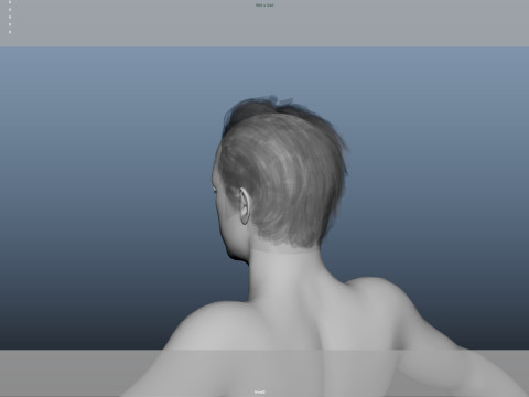 Realistic Male Hair Low-poly 3D Model