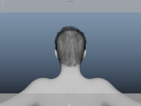 Realistic Male Hair Low-poly 3D Model