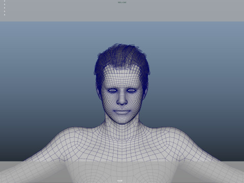 Realistic Male Hair Low-poly 3D Model