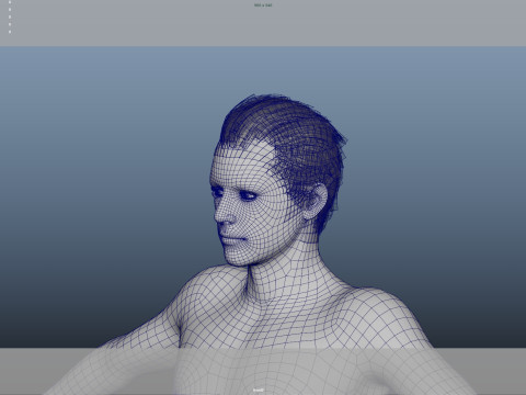 Realistic Male Hair Low-poly 3D Model