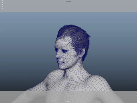 Realistic Male Hair Low-poly 3D Model