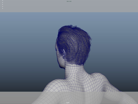 Realistic Male Hair Low-poly 3D Model