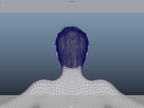 Realistic Male Hair Low-poly 3D Model