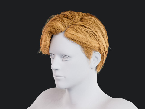 Realistic Male Hair Low-poly 3D Model