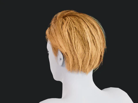 Realistic Male Hair Low-poly 3D Model