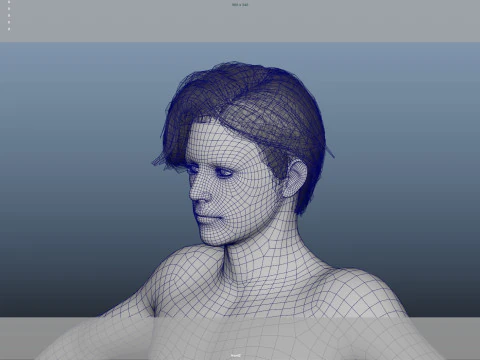 Realistic Male Hair Low-poly 3D Model