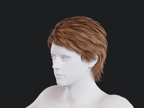 Realistic Male Hair Low-poly 3D Model