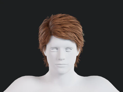 Realistic Male Hair Low-poly 3D Model