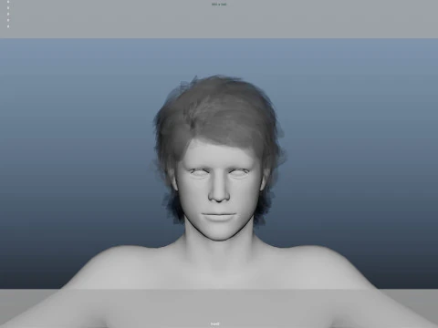 Realistic Male Hair Low-poly 3D Model