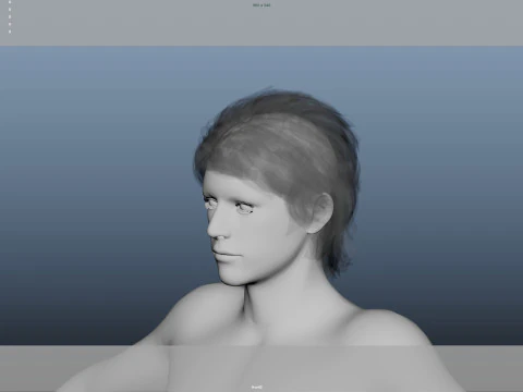 Realistic Male Hair Low-poly 3D Model