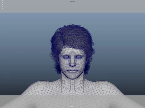 Realistic Male Hair Low-poly 3D Model