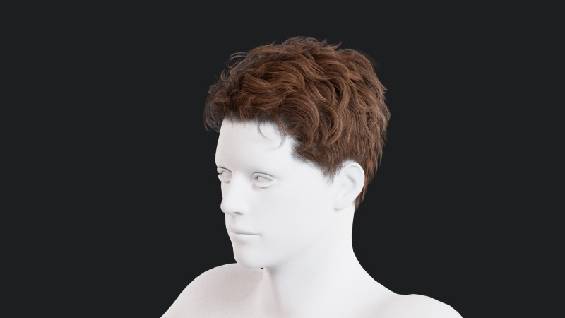 Realistic Male Hair Low-poly Modello 3D .c4d .max .obj .3ds .fbx .stl .blend