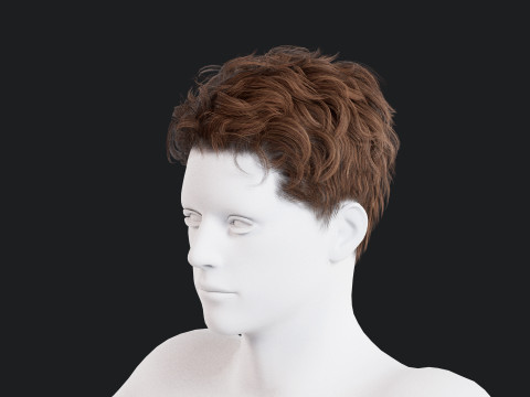 Realistic Male Hair Low-poly 3D Model