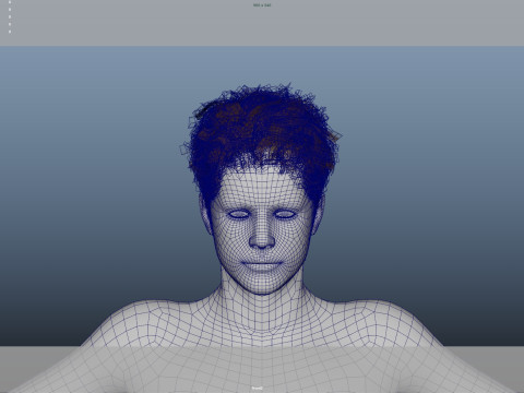 Realistic Male Hair Low-poly Modello 3D