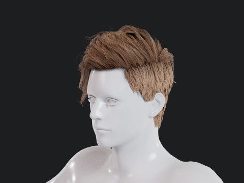 Realistic Male Hair Low-poly 3Dモデル