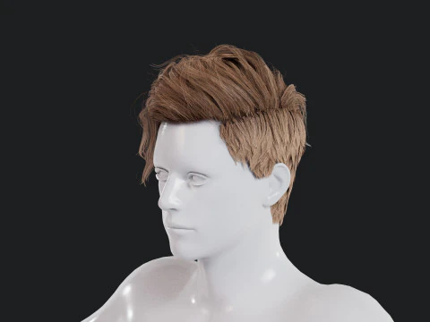 Realistic Male Hair Low-poly 3D Model