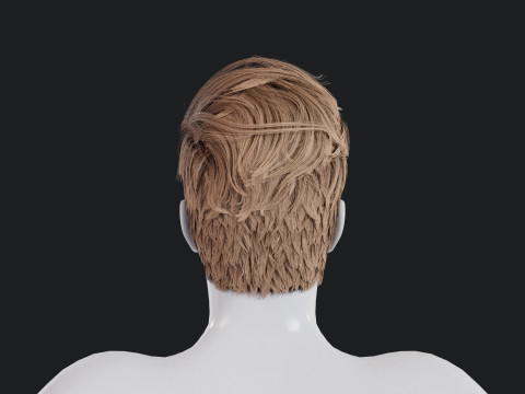 Realistic Male Hair Low-poly 3D Модель