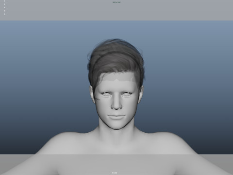 Realistic Male Hair Low-poly 3D Модель