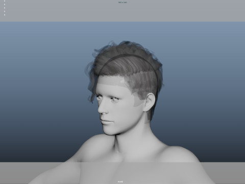 Realistic Male Hair Low-poly 3D Модель