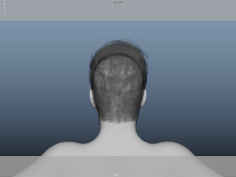 Realistic Male Hair Low-poly 3D Модель