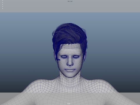 Realistic Male Hair Low-poly 3D Модель