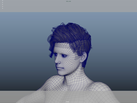 Realistic Male Hair Low-poly 3D Модель