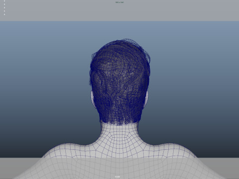 Realistic Male Hair Low-poly 3D Модель