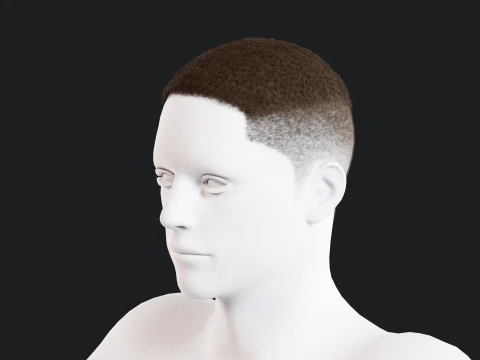 Cheveux masculins r&eacute;alistes Low-poly Modèle 3D