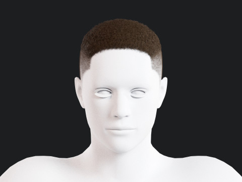 Realistic Male Hair Low-poly 3D 모델