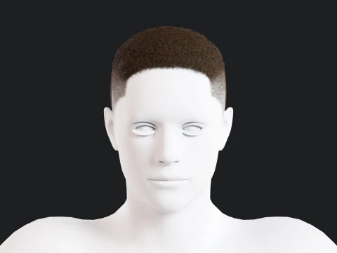 Realistic Male Hair Low-poly 3D Model