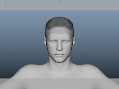 Realistic Male Hair Low-poly 3D Model