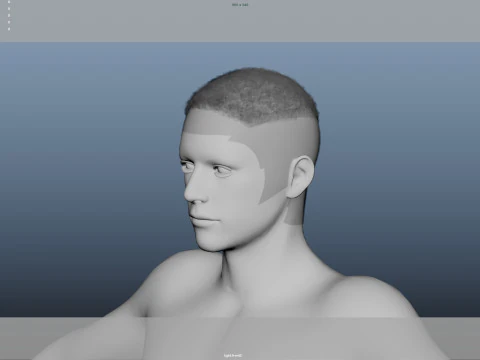 Realistic Male Hair Low-poly 3D Model