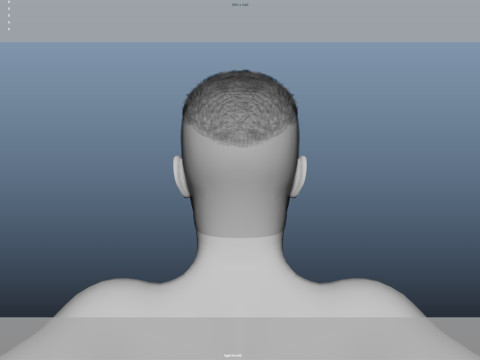 Realistic Male Hair Low-poly 3D 모델