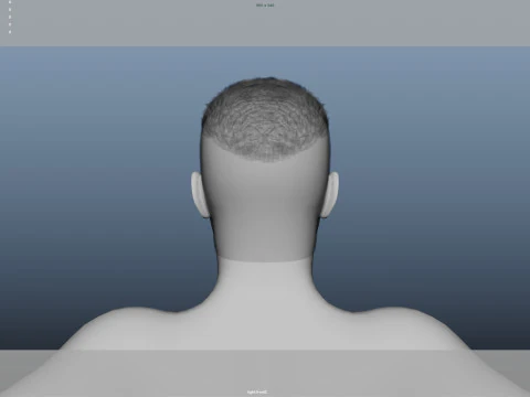 Realistic Male Hair Low-poly 3D Model