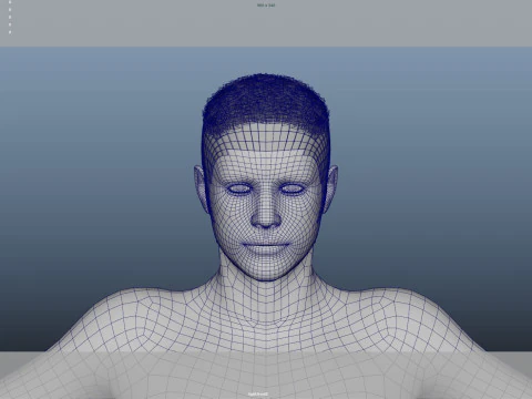 Realistic Male Hair Low-poly 3D Model