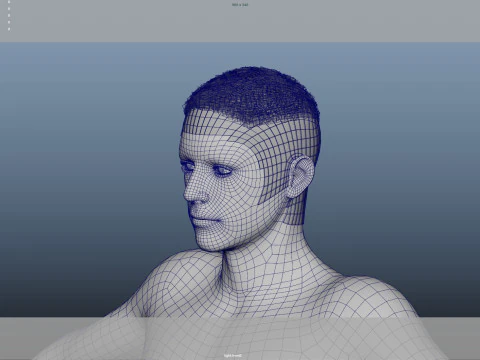 Realistic Male Hair Low-poly 3D Model