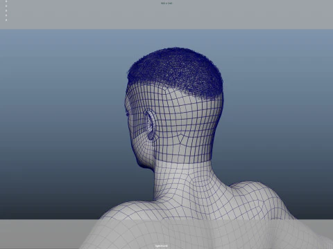 Realistic Male Hair Low-poly 3D Model