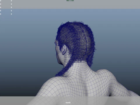 African character Hair 3D Model