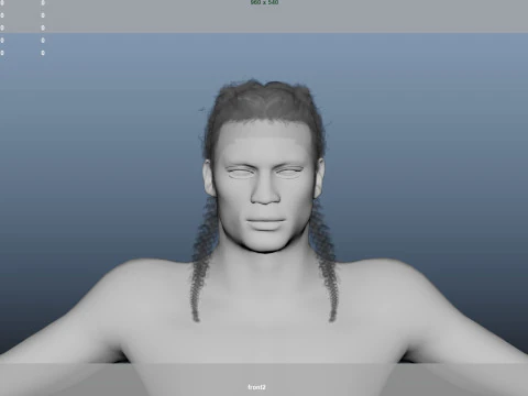 African character Hair 3D Model