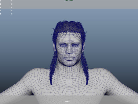 African character Hair Modelo 3D