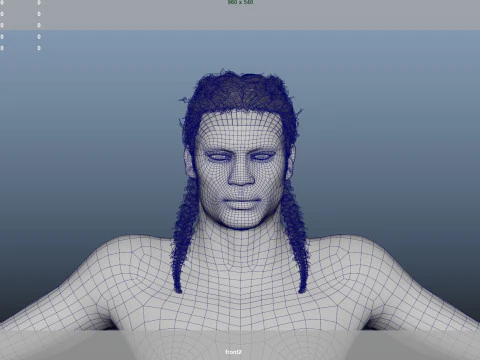 African character Hair 3D Model