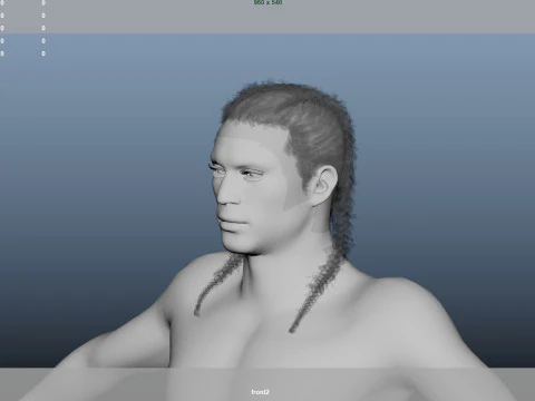 African character Hair 3D Model
