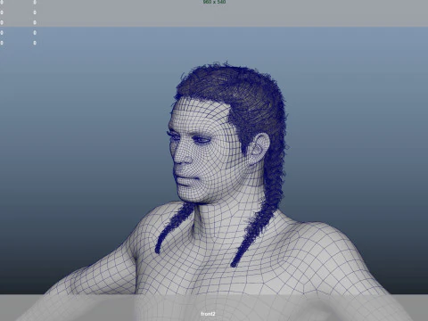 African character Hair 3D Model