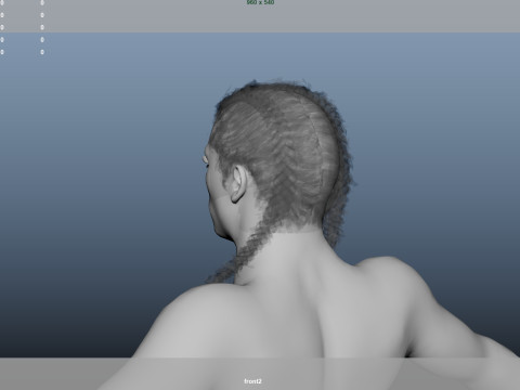 African character Hair Modelo 3D